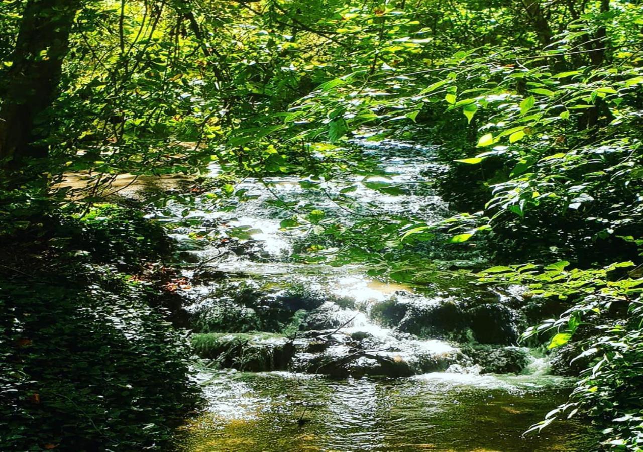 Villa Castro Нуэвалос Экстерьер фото